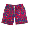 Pineapple and Girraffe Swim Trunks