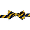 Gold and Navy Bar Stripe Bow Tie