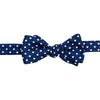 Polka Dot Bow Tie