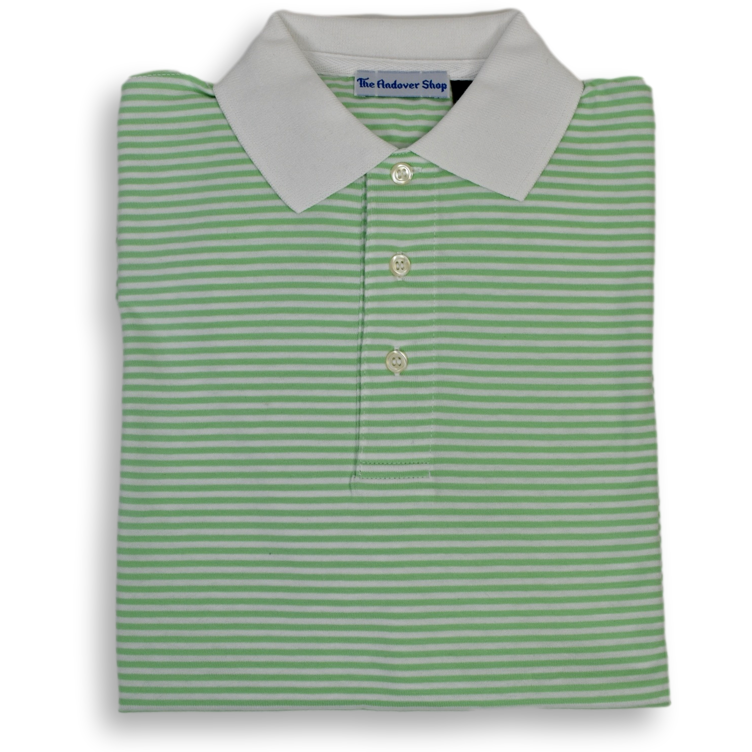 Striped Jersey Polo with Contrast Collar