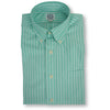 Mint Green with White Stripe Button Down Sport Shirt